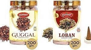 Shyam Charan Dry Dhoop Cones (280 Units)