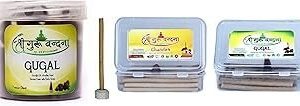 SGV Guggal Box & Chandan-Guggal Sticks Combo