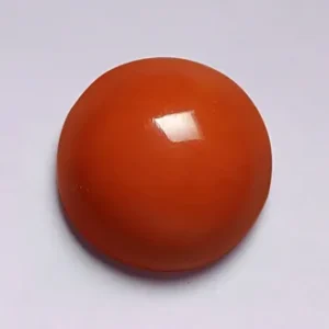 Red Coral - 3.19 Carats
